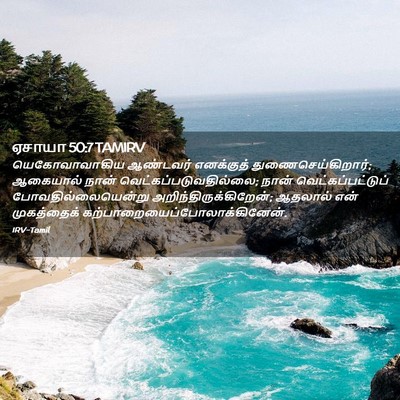 Picture 02 - ஏசாயா 50:7 TAMIRV - யெகோவாவாகிய - Bible Verse Picture