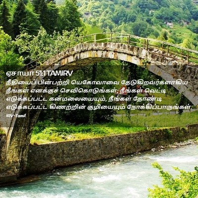 Picture 02 - ஏசாயா 51:1 TAMIRV - நீதியைப் - Bible Verse Picture