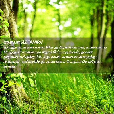 Picture 02 - ஏசாயா 51:2 TAMIRV - உன்னுடைய - Bible Verse Picture