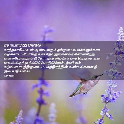 Picture 02 - ஏசாயா 51:22 TAMIRV - கர்த்தராகிய உன் - Bible Verse Picture