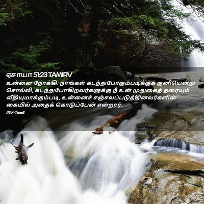 Picture 02 - ஏசாயா 51:23 TAMIRV - உன்னை நோக்கி: - Bible Verse Picture
