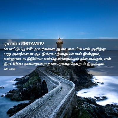 Picture 02 - ஏசாயா 51:8 TAMIRV - பொட்டுப்பூச்சி - Bible Verse Picture