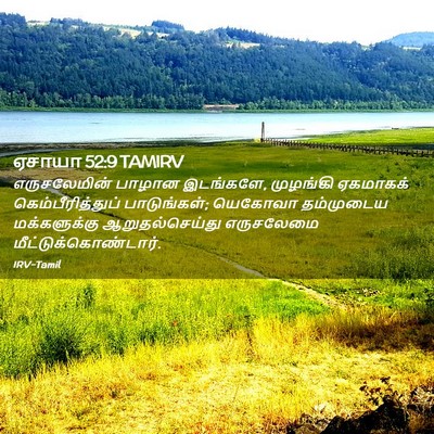 Picture 02 - ஏசாயா 52:9 TAMIRV - எருசலேமின் பாழான - Bible Verse Picture