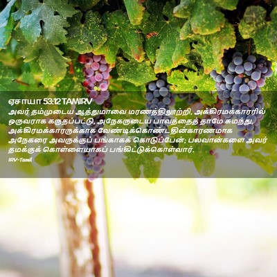 Picture 02 - ஏசாயா 53:12 TAMIRV - அவர் தம்முடைய - Bible Verse Picture