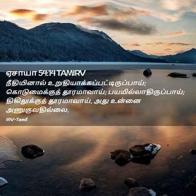 Picture 02 - ஏசாயா 54:14 TAMIRV - நீதியினால் - Bible Verse Picture