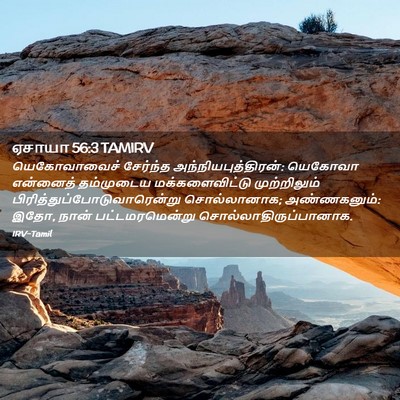 Picture 02 - ஏசாயா 56:3 TAMIRV - யெகோவாவைச் - Bible Verse Picture