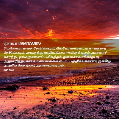 Picture 02 - ஏசாயா 56:6 TAMIRV - யெகோவாவைச் - Bible Verse Picture