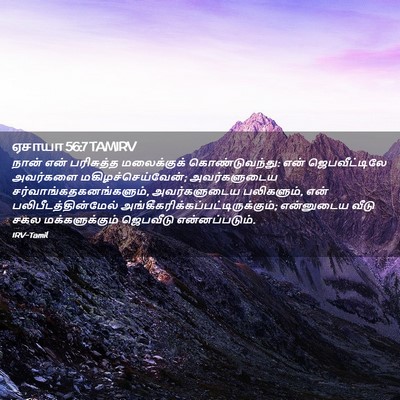 Picture 02 - ஏசாயா 56:7 TAMIRV - நான் என் பரிசுத்த - Bible Verse Picture