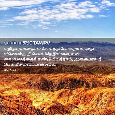Picture 02 - ஏசாயா 57:10 TAMIRV - வழிதூரமானதால் - Bible Verse Picture