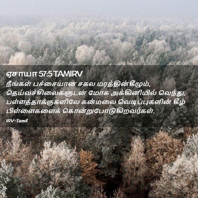Picture 02 - ஏசாயா 57:5 TAMIRV - நீங்கள் பச்சையான - Bible Verse Picture