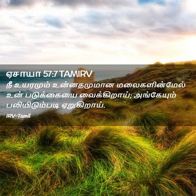 Picture 02 - ஏசாயா 57:7 TAMIRV - நீ உயரமும் - Bible Verse Picture
