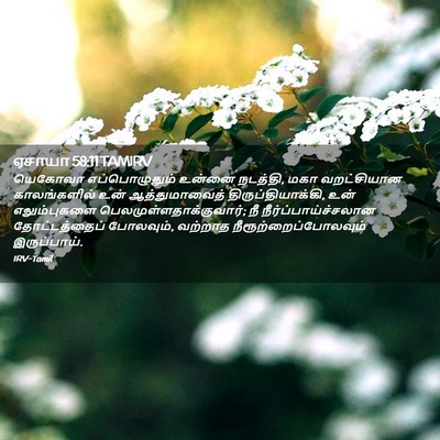 Picture 02 - ஏசாயா 58:11 TAMIRV - யெகோவா - Bible Verse Picture