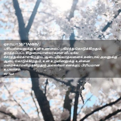 Picture 02 - ஏசாயா 58:7 TAMIRV - பசியுள்ளவனுக்கு - Bible Verse Picture