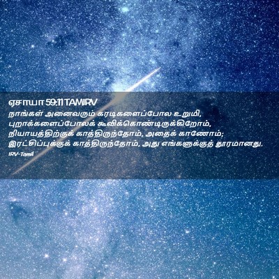 Picture 02 - ஏசாயா 59:11 TAMIRV - நாங்கள் அனைவரும் - Bible Verse Picture
