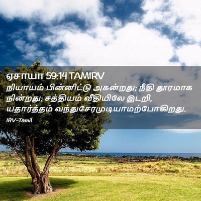 Picture 02 - ஏசாயா 59:14 TAMIRV - நியாயம் - Bible Verse Picture