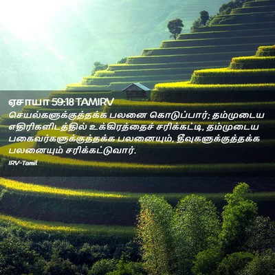 Picture 02 - ஏசாயா 59:18 TAMIRV -  - Bible Verse Picture
