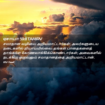 Picture 02 - ஏசாயா 59:8 TAMIRV - சமாதான வழியை - Bible Verse Picture