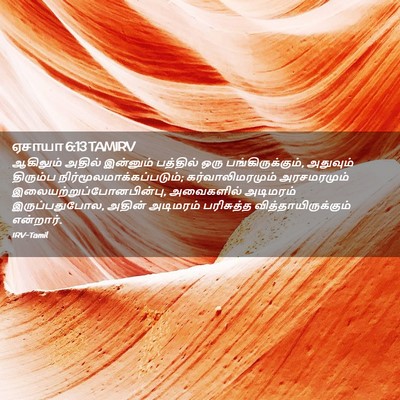 Picture 02 - ஏசாயா 6:13 TAMIRV - ஆகிலும் அதில் - Bible Verse Picture