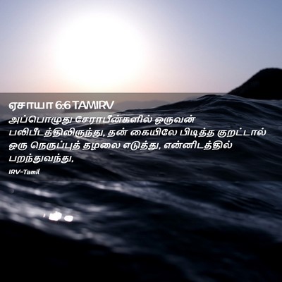 Picture 02 - ஏசாயா 6:6 TAMIRV - அப்பொழுது - Bible Verse Picture