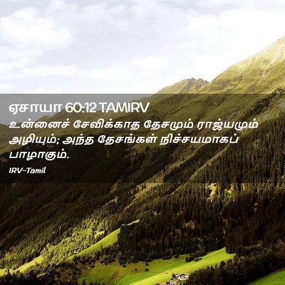 Picture 02 - ஏசாயா 60:12 TAMIRV - உன்னைச் சேவிக்காத - Bible Verse Picture