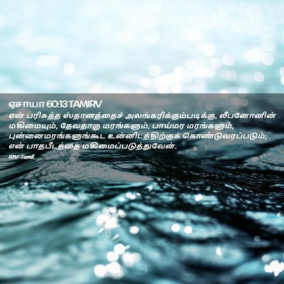 Picture 02 - ஏசாயா 60:13 TAMIRV - என் பரிசுத்த - Bible Verse Picture