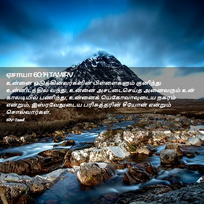 Picture 02 - ஏசாயா 60:14 TAMIRV - உன்னை - Bible Verse Picture