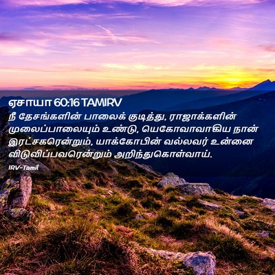 Picture 02 - ஏசாயா 60:16 TAMIRV - நீ தேசங்களின் - Bible Verse Picture
