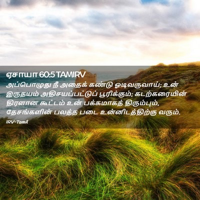 Picture 02 - ஏசாயா 60:5 TAMIRV - அப்பொழுது நீ - Bible Verse Picture