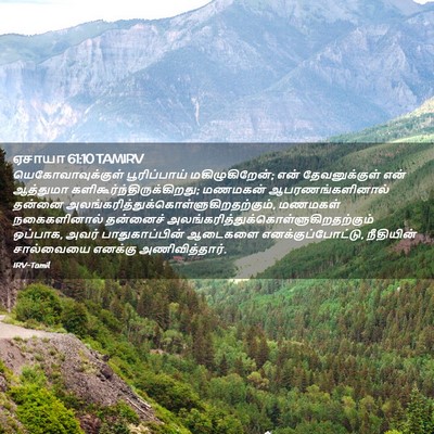 Picture 02 - ஏசாயா 61:10 TAMIRV - யெகோவாவுக்குள் - Bible Verse Picture