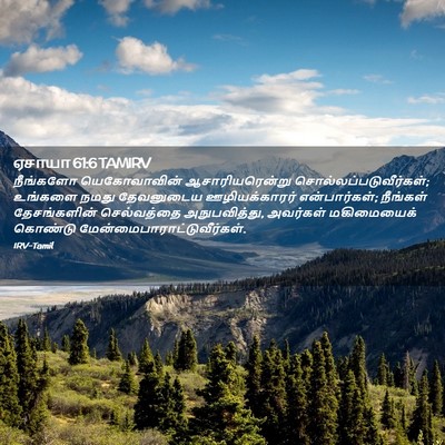 Picture 02 - ஏசாயா 61:6 TAMIRV - நீங்களோ - Bible Verse Picture