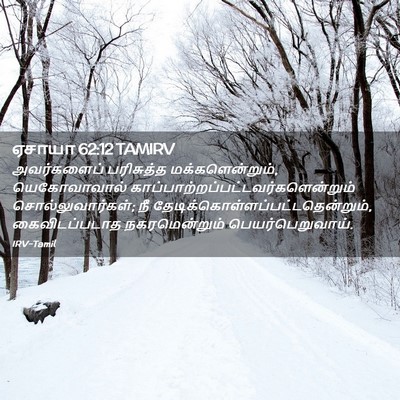 Picture 02 - ஏசாயா 62:12 TAMIRV - அவர்களைப் - Bible Verse Picture