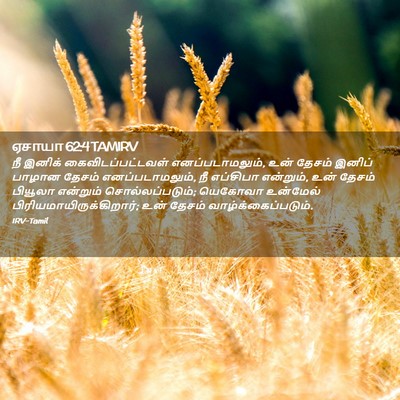 Picture 02 - ஏசாயா 62:4 TAMIRV - நீ இனிக் - Bible Verse Picture