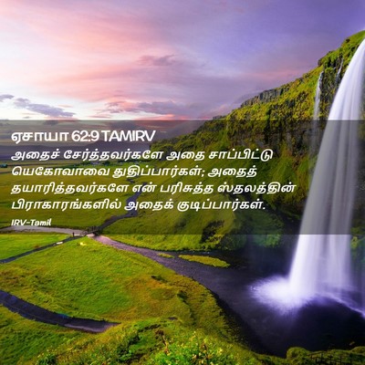 Picture 02 - ஏசாயா 62:9 TAMIRV - அதைச் - Bible Verse Picture