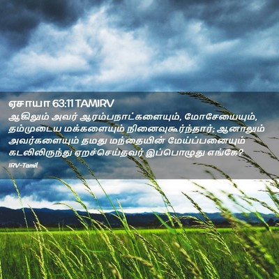 Picture 02 - ஏசாயா 63:11 TAMIRV - ஆகிலும் அவர் - Bible Verse Picture