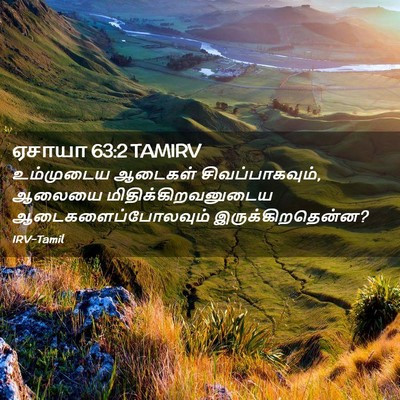 Picture 02 - ஏசாயா 63:2 TAMIRV - உம்முடைய ஆடைகள் - Bible Verse Picture