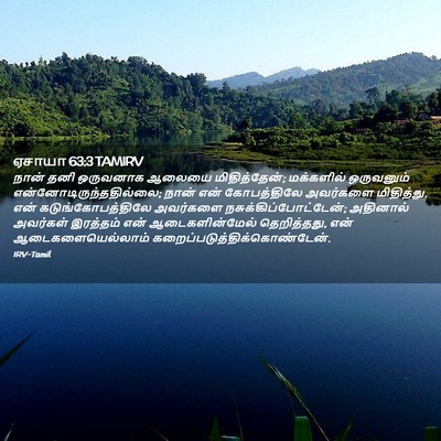 Picture 02 - ஏசாயா 63:3 TAMIRV - நான் தனி ஒருவனாக - Bible Verse Picture