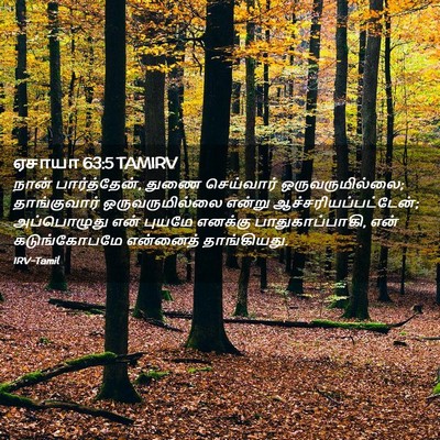 Picture 02 - ஏசாயா 63:5 TAMIRV - நான் பார்த்தேன், - Bible Verse Picture