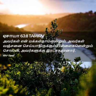 Picture 02 - ஏசாயா 63:8 TAMIRV - அவர்கள் என் - Bible Verse Picture