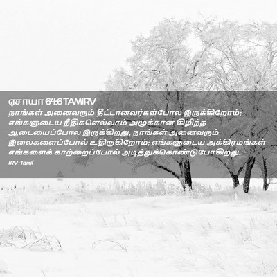 Picture 02 - ஏசாயா 64:6 TAMIRV - நாங்கள் அனைவரும் - Bible Verse Picture