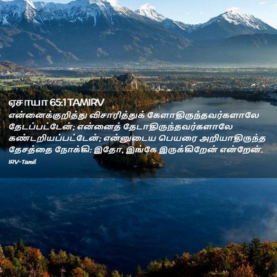 Picture 02 - ஏசாயா 65:1 TAMIRV - என்னைக்குறித்து - Bible Verse Picture