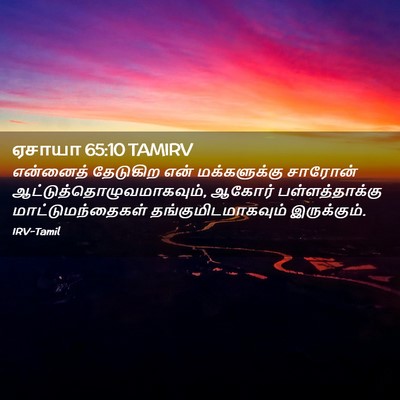 Picture 02 - ஏசாயா 65:10 TAMIRV - என்னைத் தேடுகிற - Bible Verse Picture