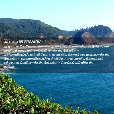 Picture 02 - ஏசாயா 65:13 TAMIRV - ஆதலால் - Bible Verse Picture