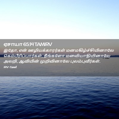 Picture 02 - ஏசாயா 65:14 TAMIRV - இதோ, என் - Bible Verse Picture