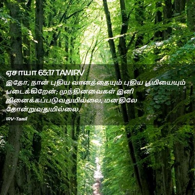 Picture 02 - ஏசாயா 65:17 TAMIRV - இதோ, நான் புதிய - Bible Verse Picture