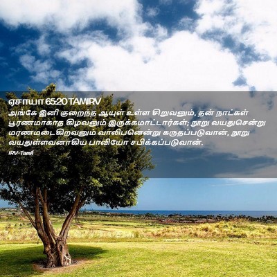 Picture 02 - ஏசாயா 65:20 TAMIRV - அங்கே இனி குறைந்த - Bible Verse Picture