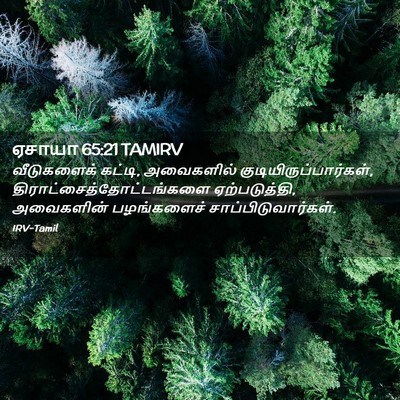 Picture 02 - ஏசாயா 65:21 TAMIRV - வீடுகளைக் கட்டி, - Bible Verse Picture