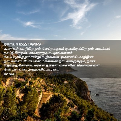 Picture 02 - ஏசாயா 65:22 TAMIRV - அவர்கள் - Bible Verse Picture