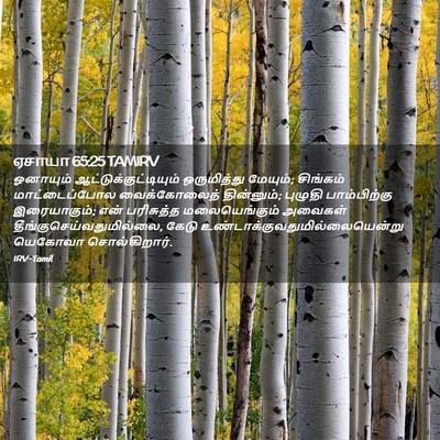Picture 02 - ஏசாயா 65:25 TAMIRV - ஓனாயும் - Bible Verse Picture