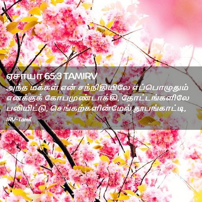 Picture 02 - ஏசாயா 65:3 TAMIRV - அந்த மக்கள் என் - Bible Verse Picture