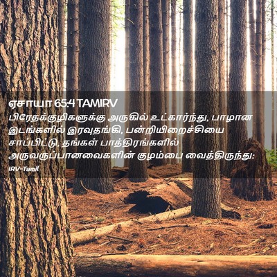 Picture 02 - ஏசாயா 65:4 TAMIRV -  - Bible Verse Picture